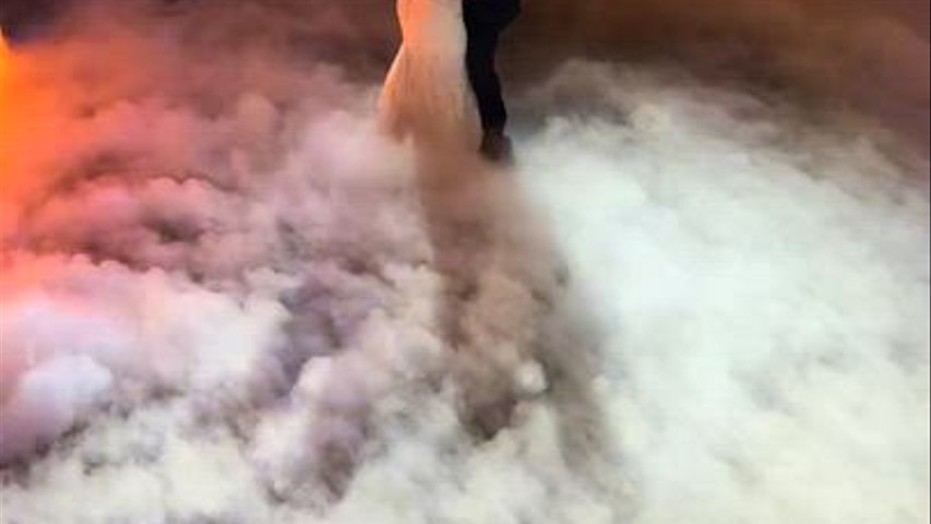 Fumo Rasteiro - Low Fog Show 