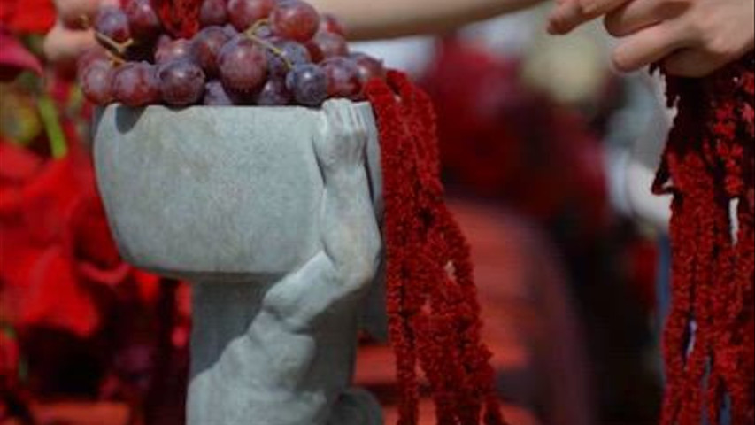 Catering Quinta do Roseiral