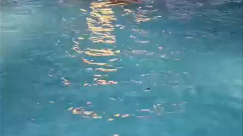 Maquilhagem e Penteado Social na Piscina 