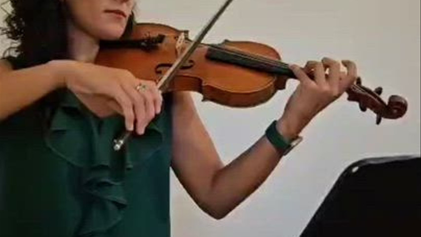 Trio 1 (Violino)