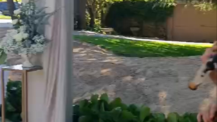 Cerimónia civil 