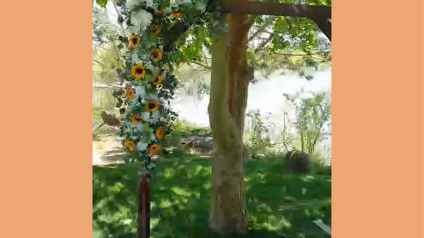 Video arco com girassois 