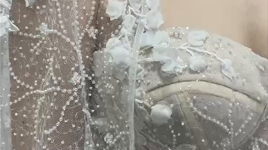 Wedding Dress Universe 