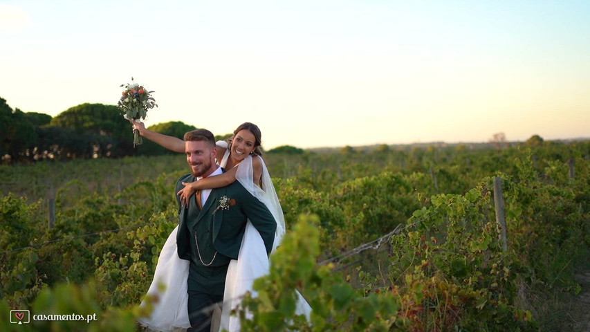 Highlights Vanessa e Francisco 