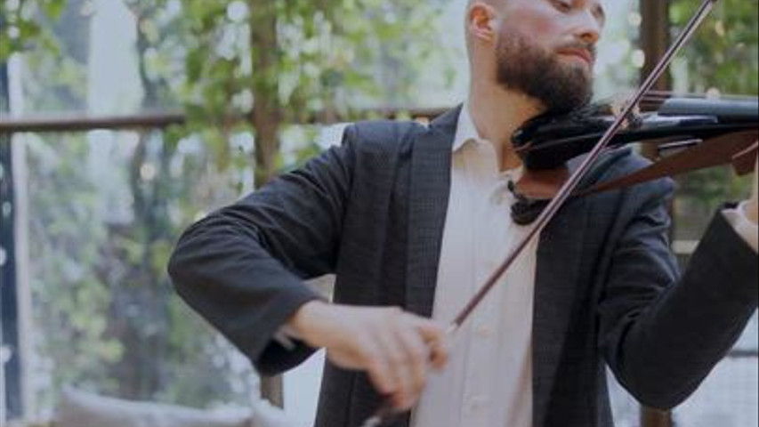 Pedro Gomes Violino - Vows & Violin