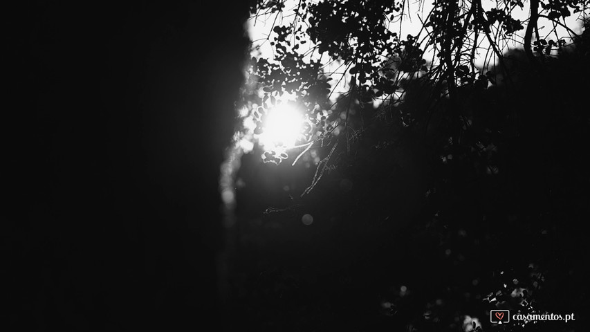 Cucu Photography Project 