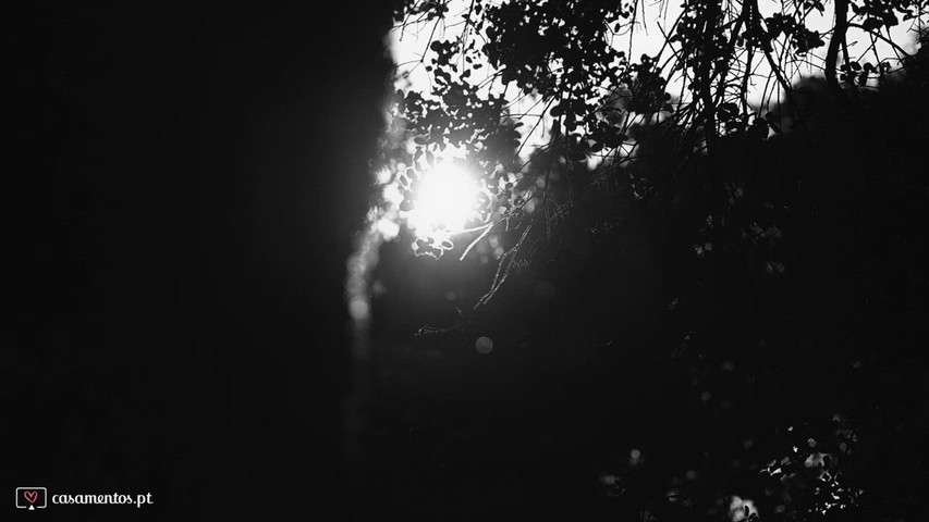 Cucu Photography Project