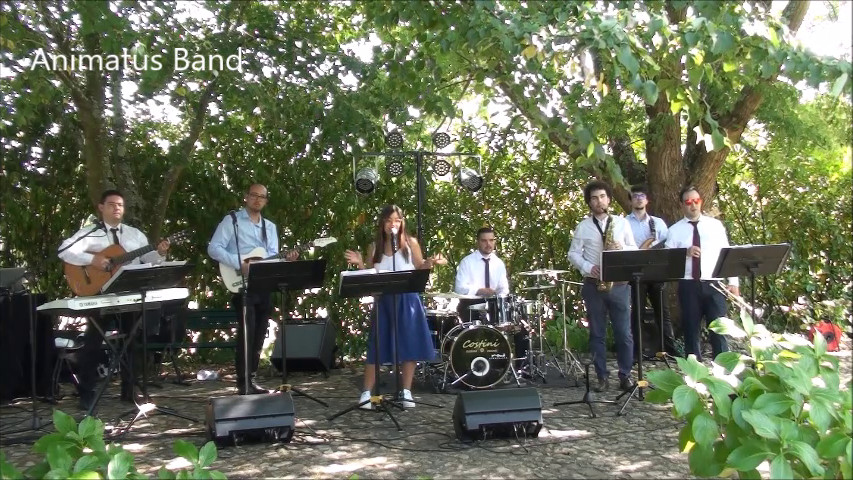Animatus Band