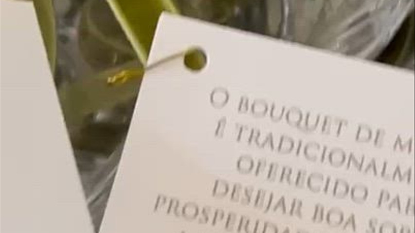 Helo Penteado Decor