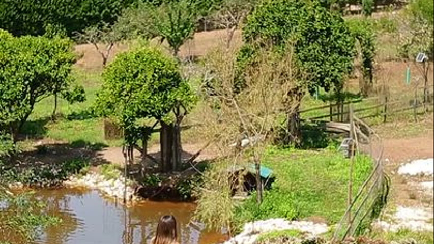 Paisagem  zona do lago