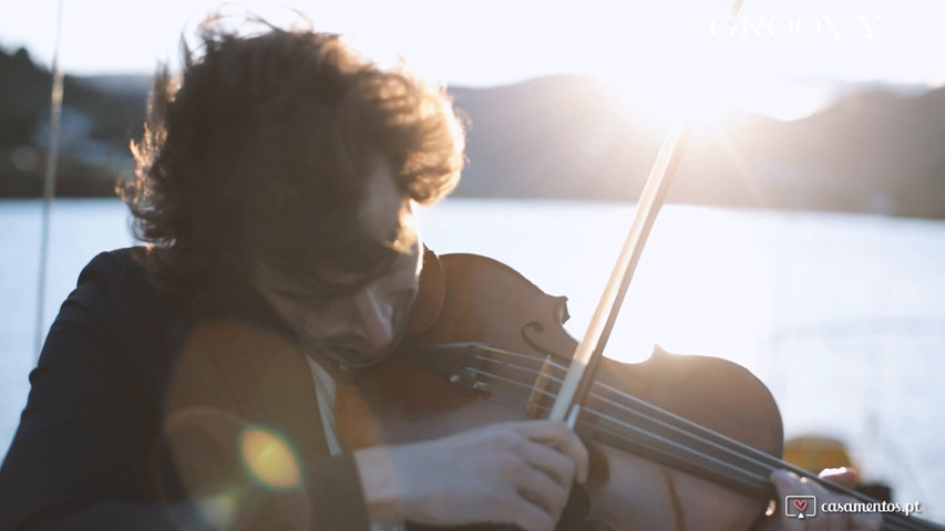 Violino