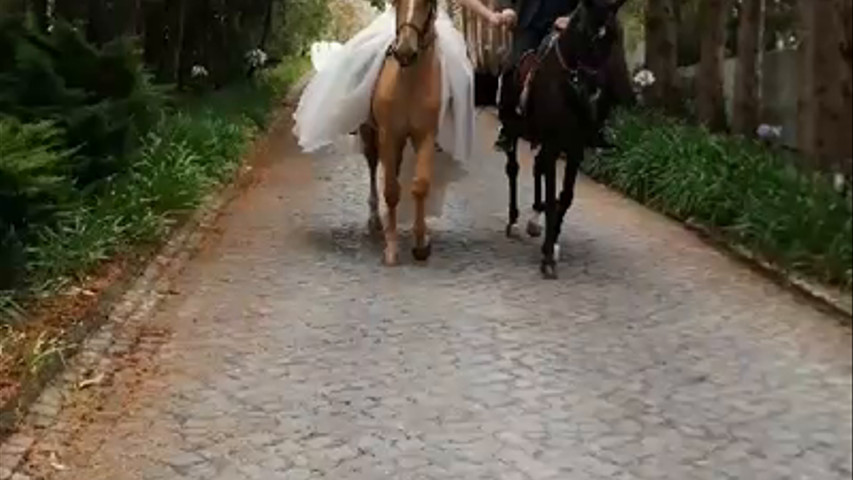 Noivos a cavalo de mãos dadas