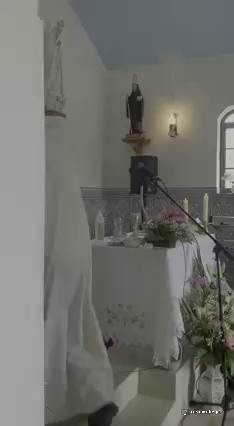 Grão de trigo