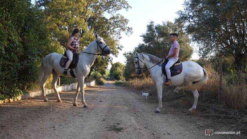 Cavalos e não só!