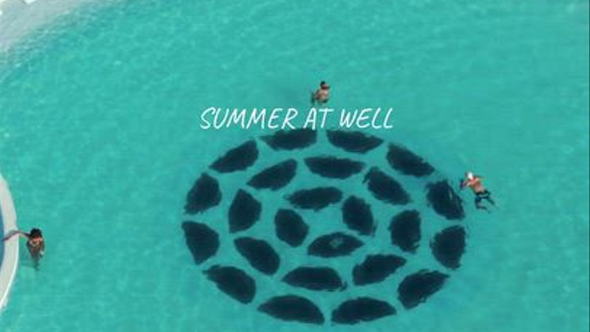 Well everlasting summer reel