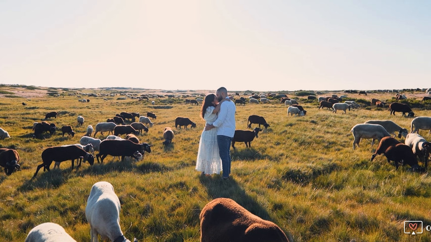 Sessão de Solteiros