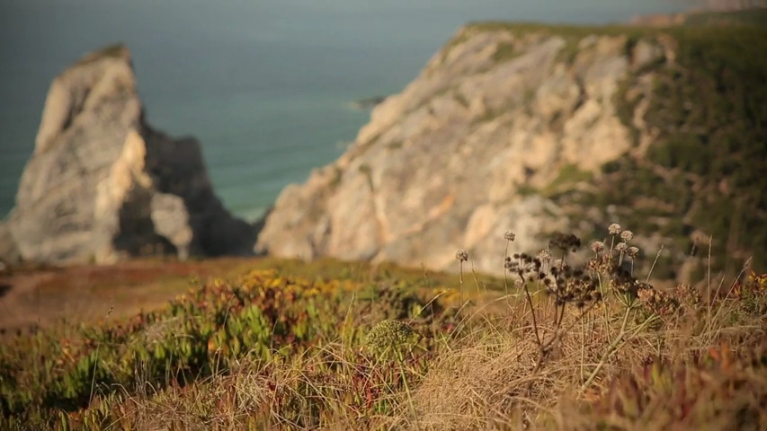 Casamento Cabo da Roca