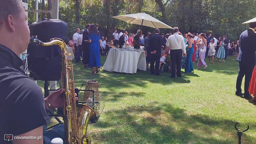 Cocktail de entradas
