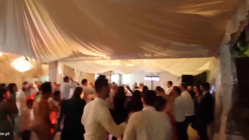Festa 