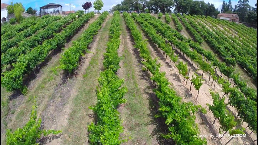 Quinta de S. Gens Drone