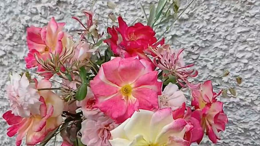 Frida Moco - Atelier Floral