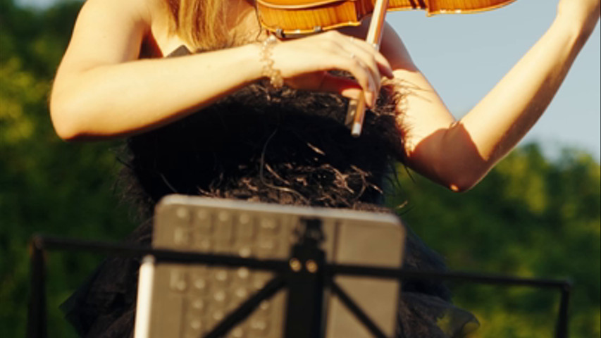 Violin