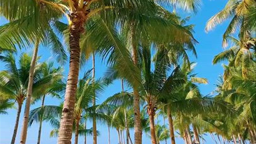 Bayahibe