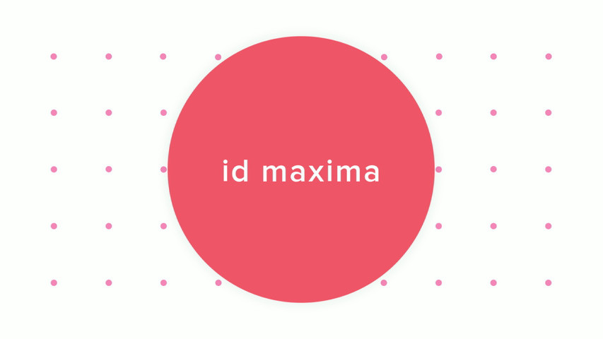 ID Maxima Lingerie