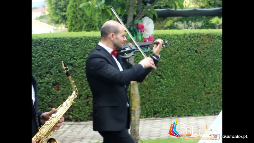 Animação de casamento