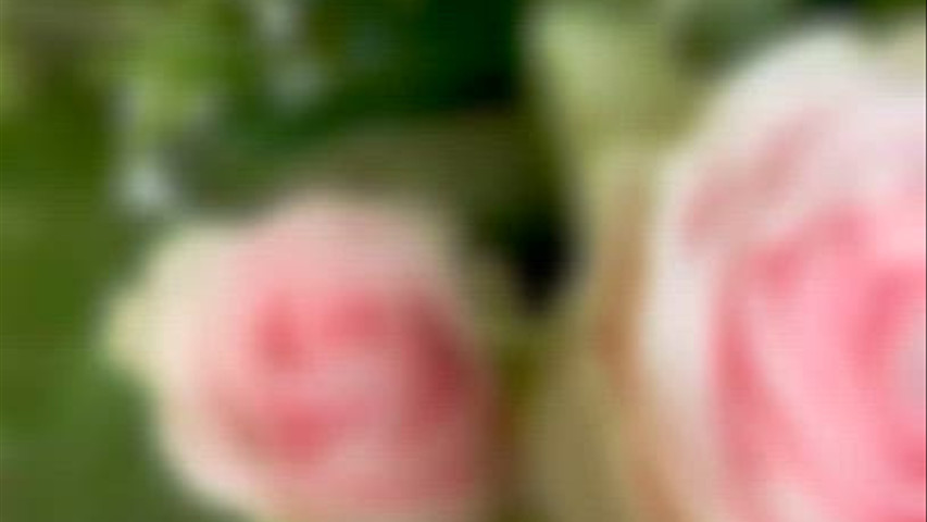 Maria do Carmo & Filipe | 17 de Maio de 2025