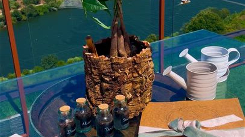 Serena & David | 1 de Agosto de 2024