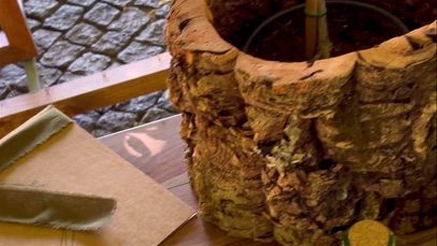 Sophie & Bruno | 30 de Agosto de 2024