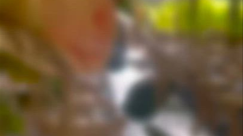 Maria & Francisco | 7 de Novembro de 2024