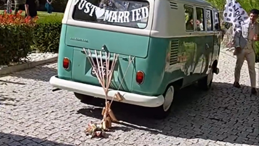 Beetleful Porto
