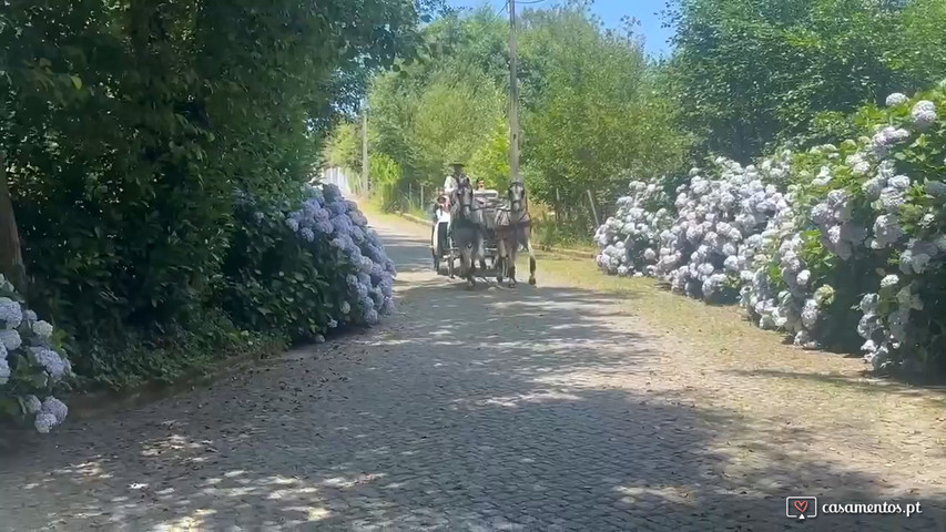 Entrada diferente na quinta com os noivos