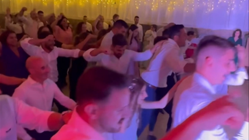 Animação Casamento 
