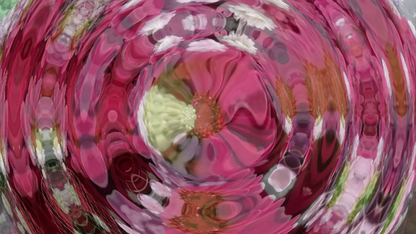 Minha Flor - Florista