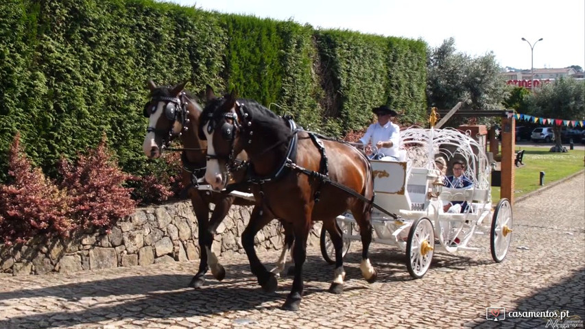 Carros Limousines e Charretes