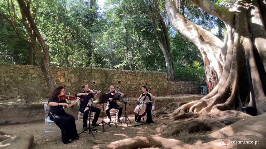 She's Always a Woman - Almedina Ensemble (quarteto de cordas)