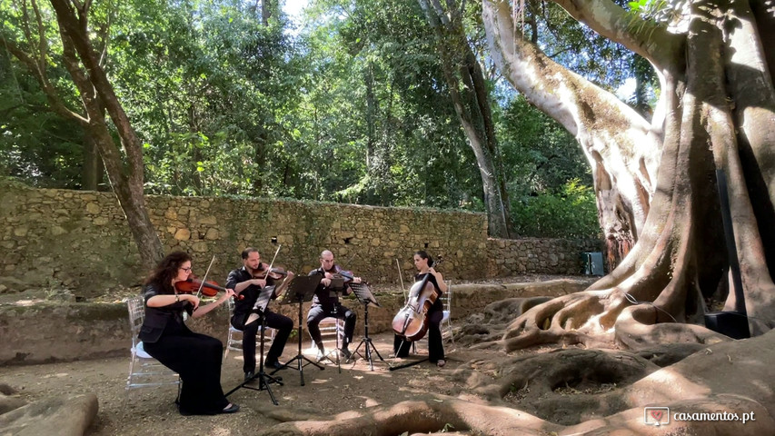 Wedding March - Almedina Ensemble (quarteto de cordas)