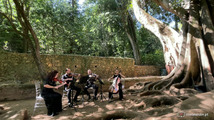 Canon - Almedina Ensemble (quarteto de cordas)