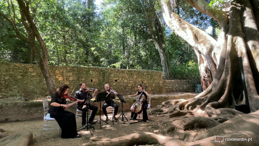 Sonderho Bridal Trilogy (Part II) - Almedina Ensemble (quarteto de cordas)