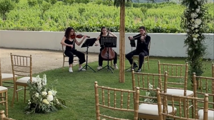 What a Wonderful World - Almedina Ensemble (trio de cordas)