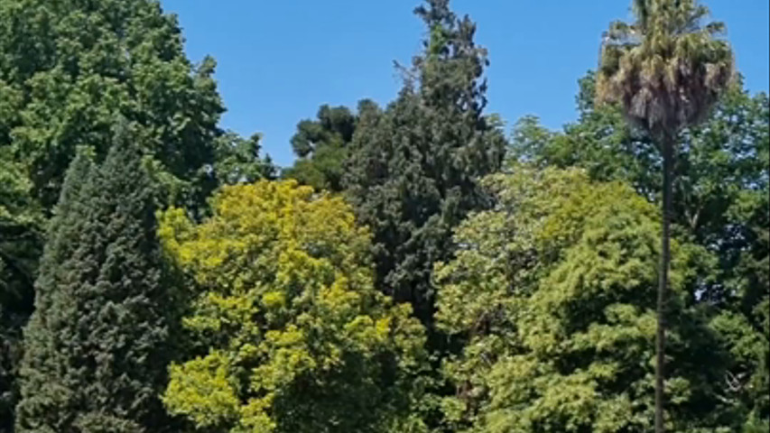 Palácio da Borralha 