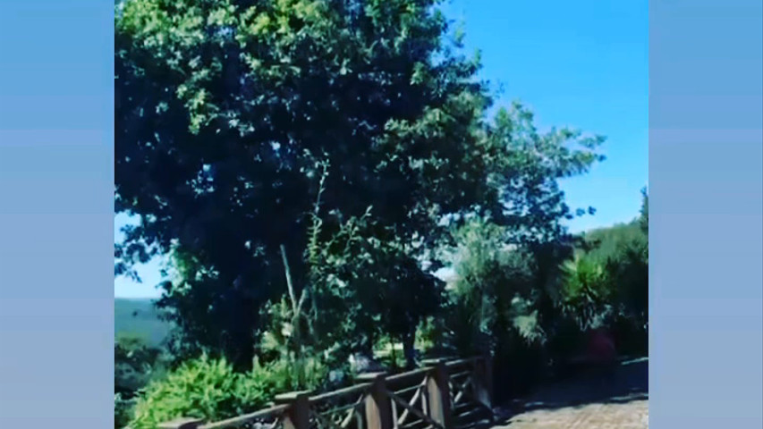 Quinta da Casa do Pinheiro
