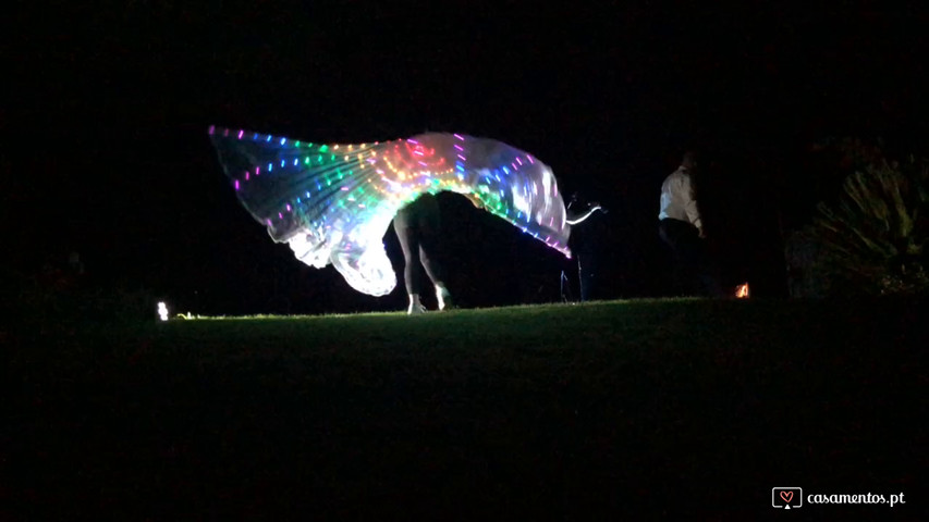 Violino elétrico & Led Wing