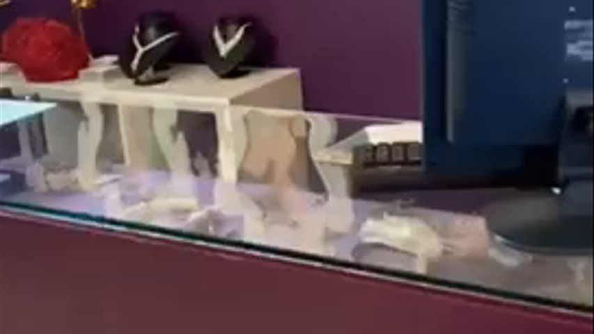 Nova coleção Milla Nova 2023 disponível em Momentus by Cristina Campos 