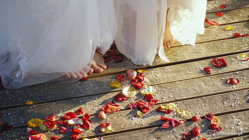 Video de Casamento de Praia do Mesmo Sexo 