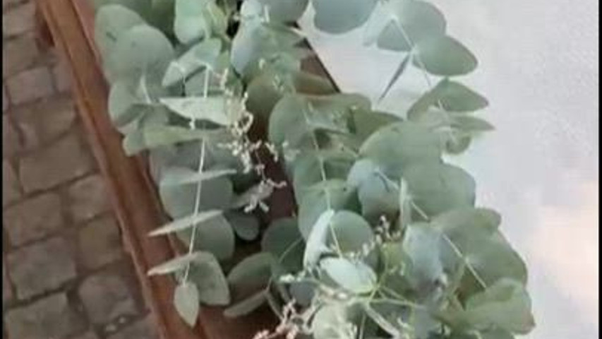 Mesa de noivos em decoração rústica 