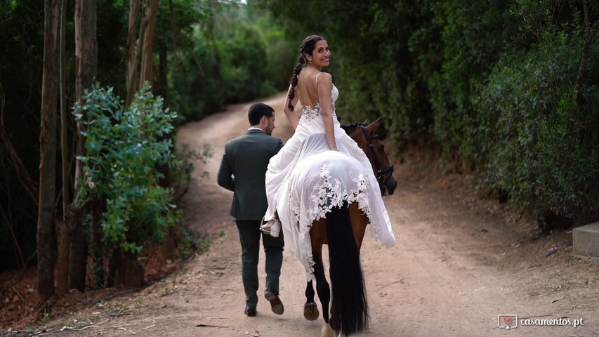 Highlights Lara e Carlos